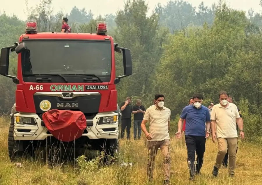 Karabük’te orman yangını